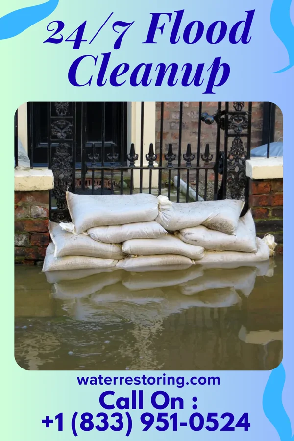 24/7 Flood Cleanup in Old Shawneetown, IL