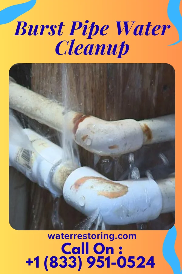Burst Pipe Water Cleanup in Old Shawneetown, IL