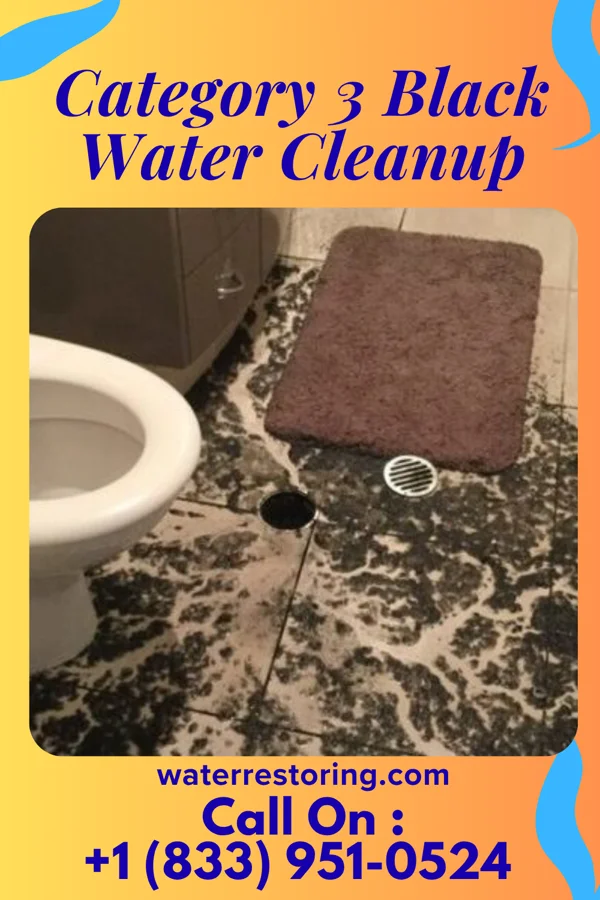 Category 3 Black Water Cleanup in Old Shawneetown, IL