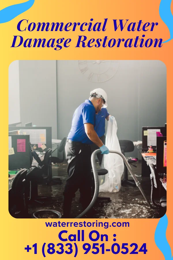 Commercial Water Damage Restoration in Old Shawneetown, IL