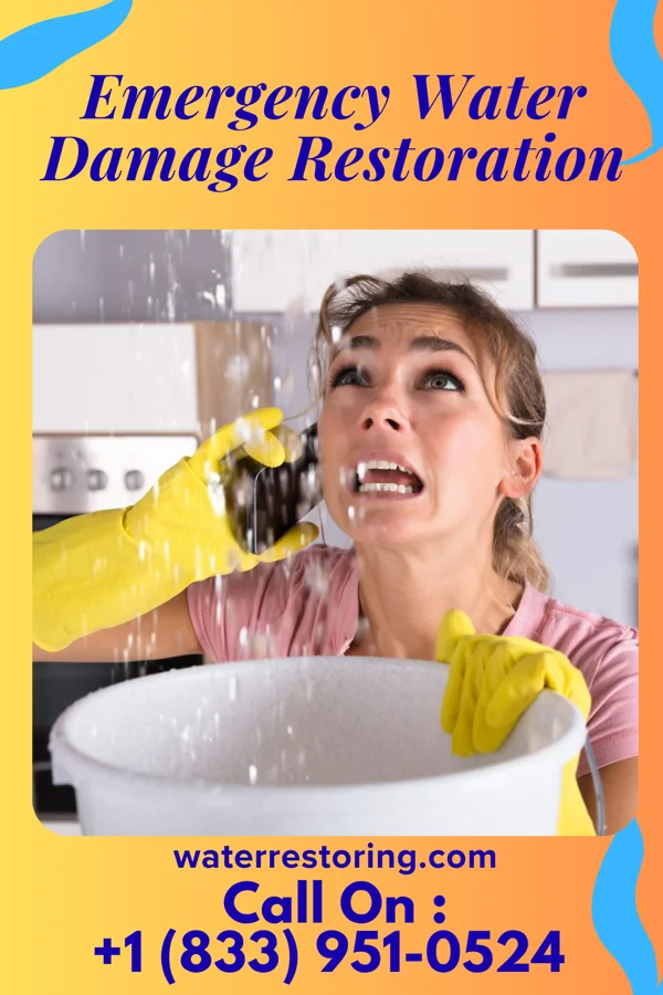Emergency Water Damage Restoration in Old Shawneetown, IL