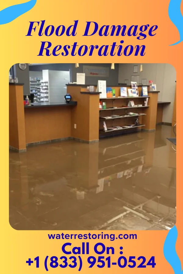 Flood Damage Restoration in Old Shawneetown, IL